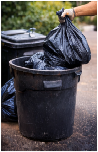 Garbage Disposal